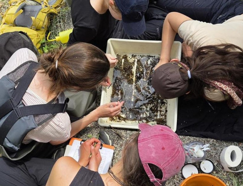 Kurs „Biogeographie im Feld“