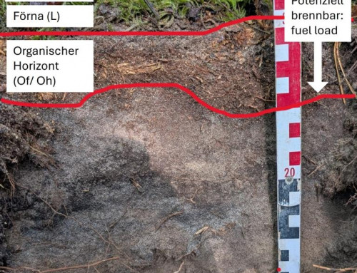 Lehrforschungsprojekt „Oberflächenprozesse durch Wind, Wasser und Feuer in Zusammenhang mit land- und forstwirtschaftlicher Nutzung in einer nordostdeutschen Kulturlandschaft“