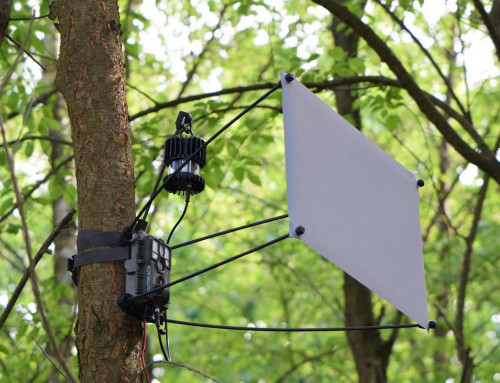 Lehrveranstaltung der Module „Artenvielfalt terrestrischer Arthropoden“ und „Automatisierte Instrumente zur Erfassung der Biodiversität: Feldmethoden“